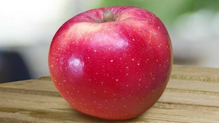 La primera variedad de manzana para afrontar el cambio climático